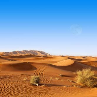 Woestijn in de Verenigde Arabische Emiraten